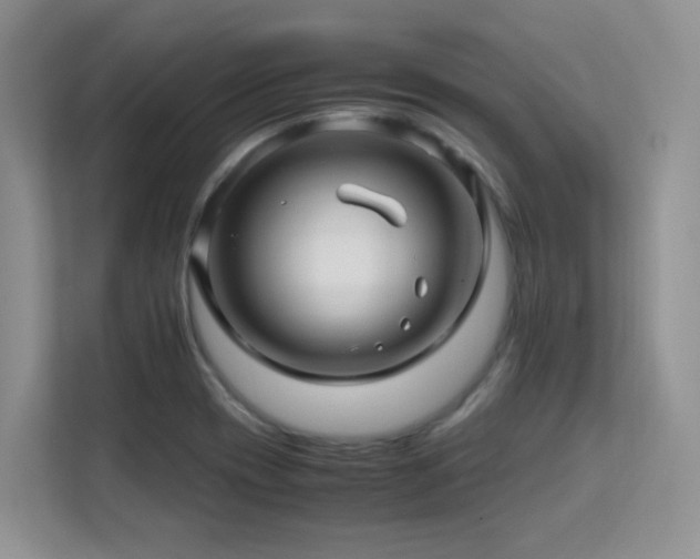 X0000112211417200908071445