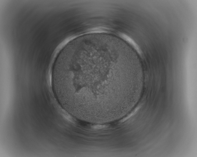 X0000112211419200908071445