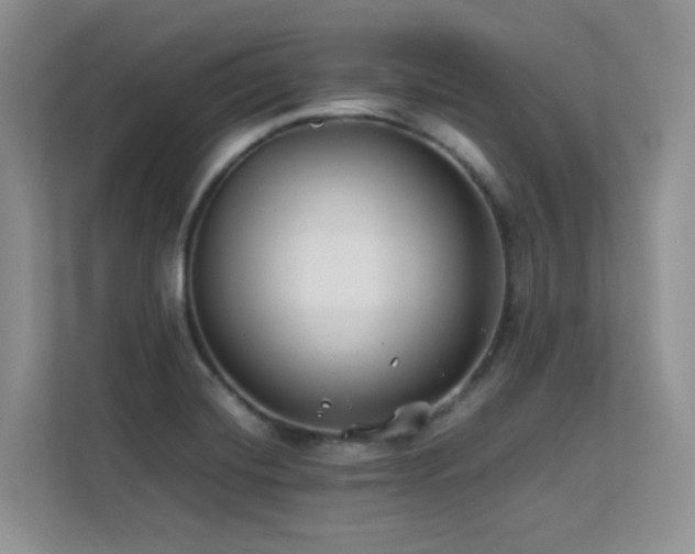 X0000112211420200908071445