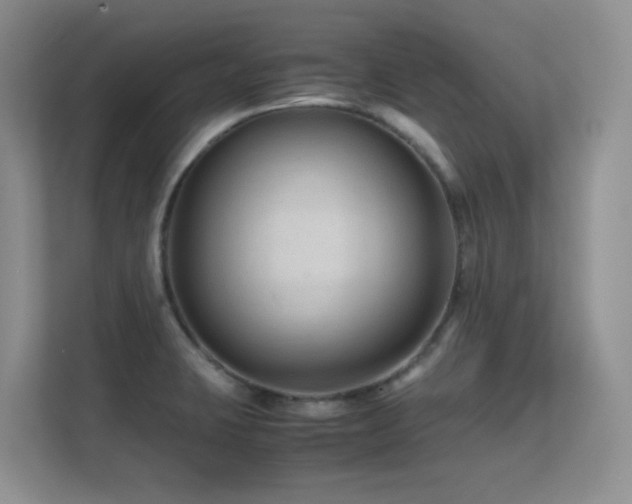 X0000112211423200908071445