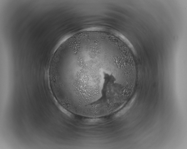 X0000112211425200908071445