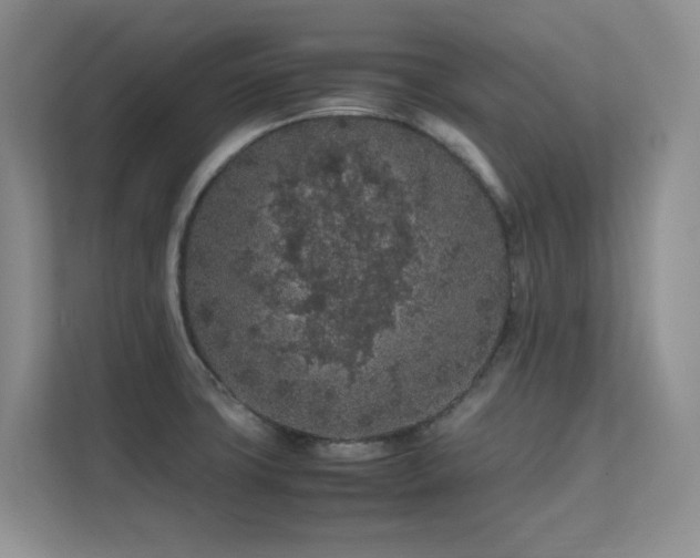 X0000112211427200908071445