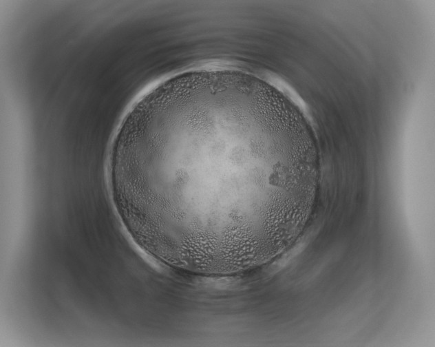 X0000112211429200908071445