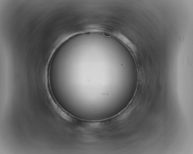 X0000112211431200908071445