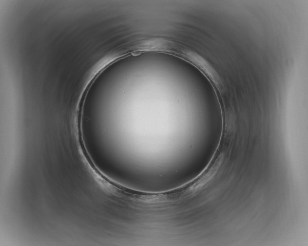 X0000112211434200908071445