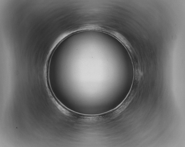 X0000112211438200908071445