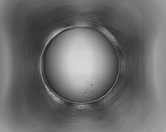 X0000112211439200908071445