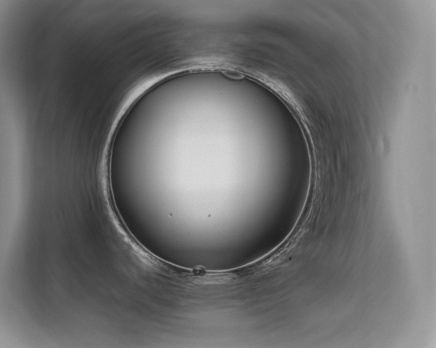 X0000112211440200908071445