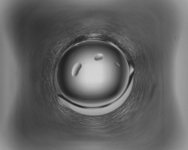 X0000112211441200908071444