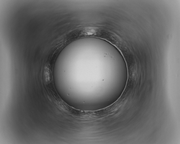 X0000112211442200908071444