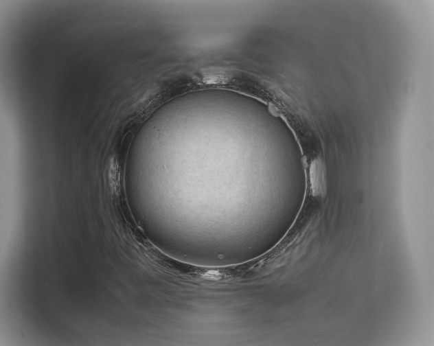 X0000112211443200908071444