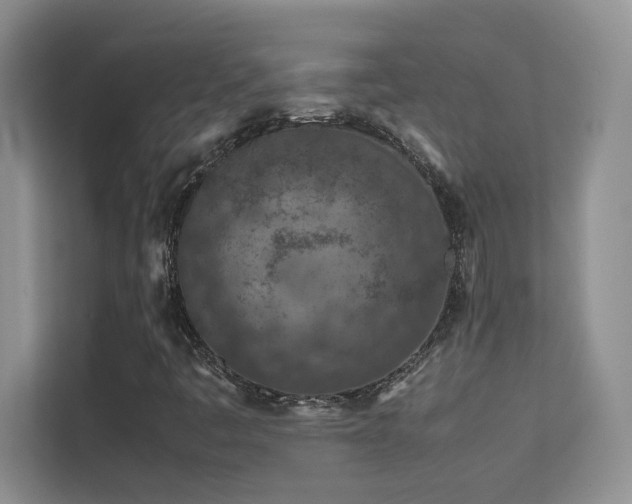 X0000112211445200908071444