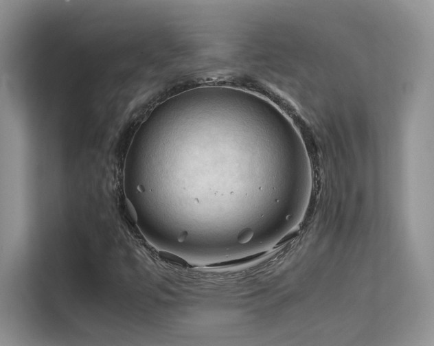 X0000112211447200908071444