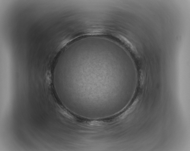 X0000112211449200908071444