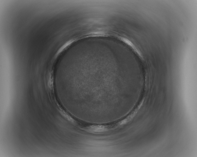 X0000112211450200908071444