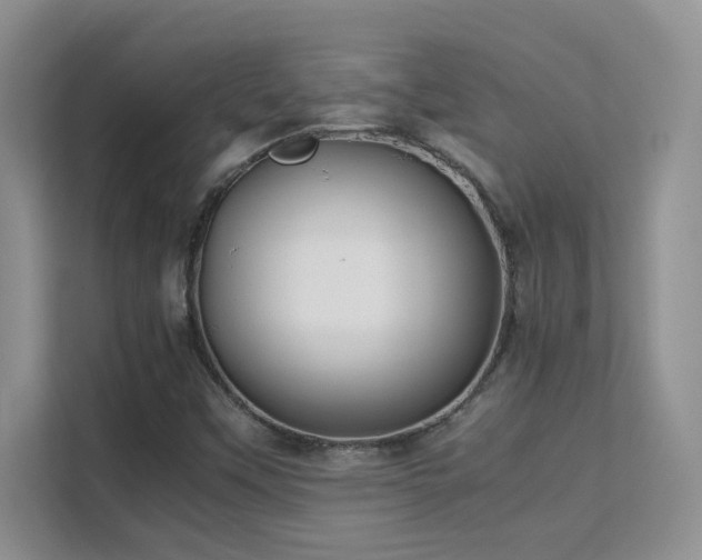 X0000112211451200908071444