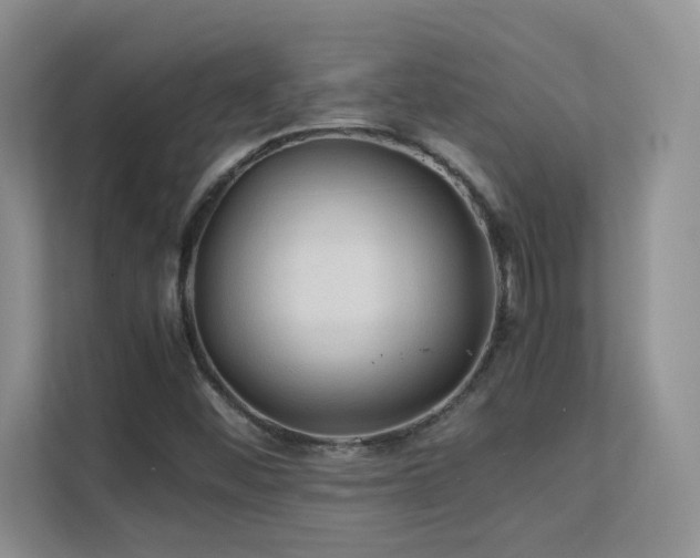 X0000112211452200908071444