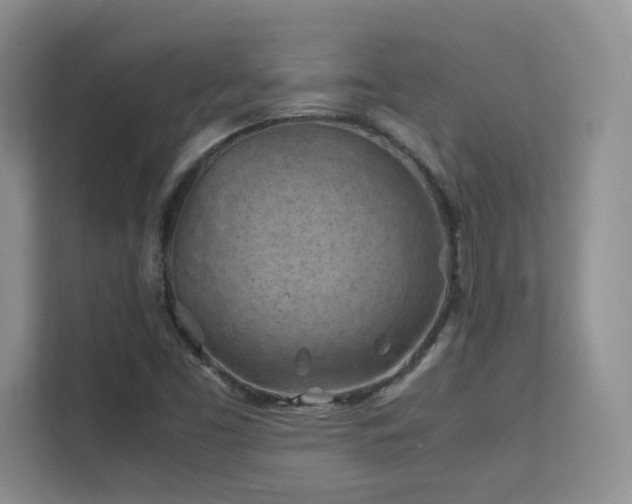 X0000112211453200908071444