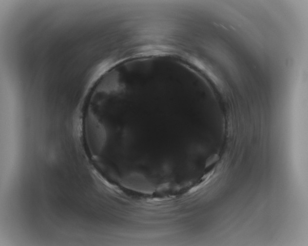 X0000112211459200908071444