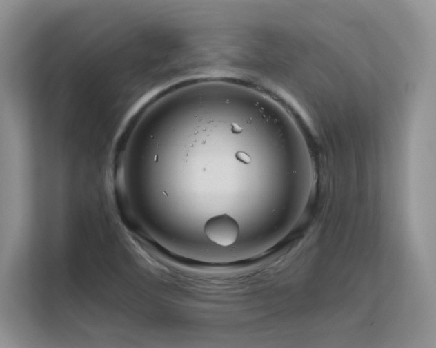 X0000112211460200908071444