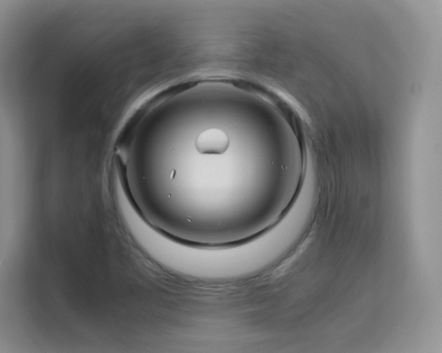 X0000112211461200908071444