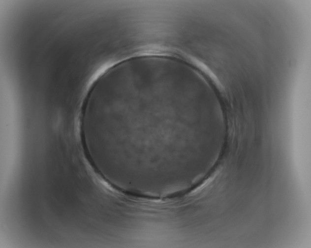X0000112211463200908071444