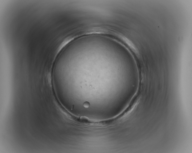 X0000112211465200908071444