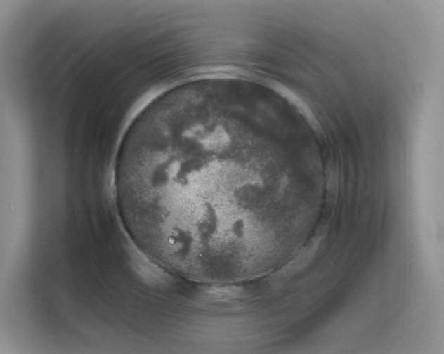 X0000112211466200908071444