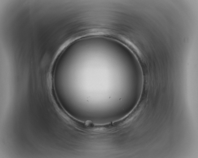 X0000112211467200908071444