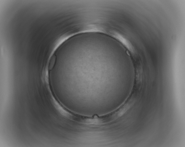 X0000112211468200908071444