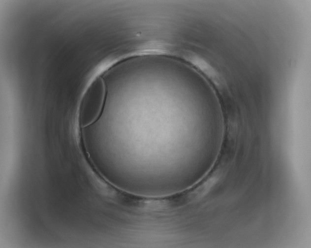 X0000112211469200908071444