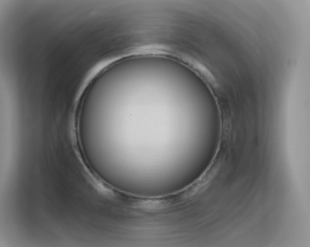X0000112211470200908071444