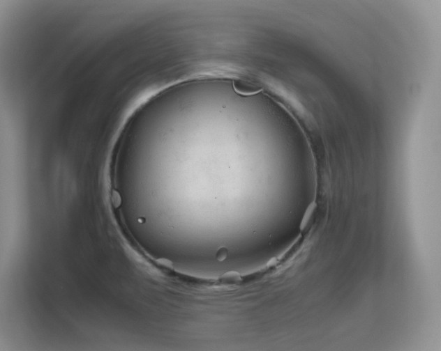 X0000112211471200908071444