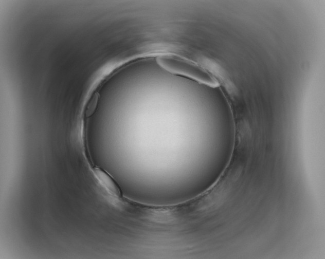 X0000112211472200908071444