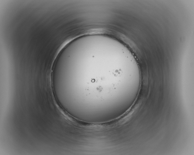 X0000112211473200908071444