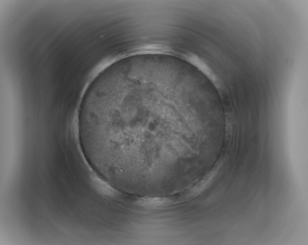 X0000112211474200908071444