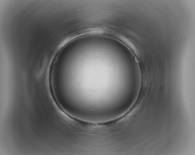 X0000112211475200908071444