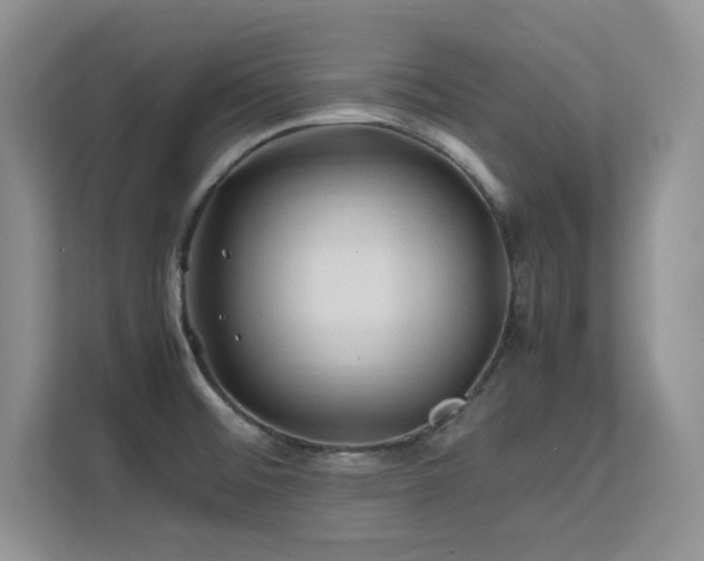 X0000112211476200908071444