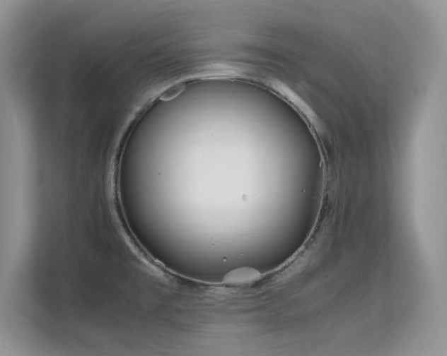 X0000112211477200908071444
