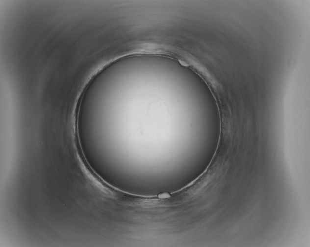 X0000112211479200908071444