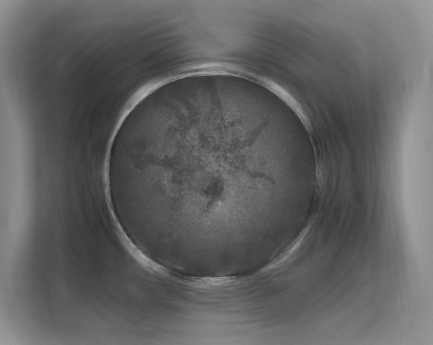 X0000112211482200908071444