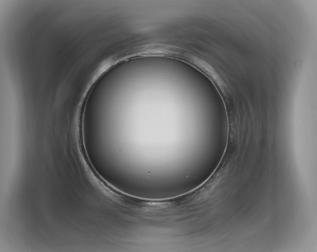 X0000112211483200908071444