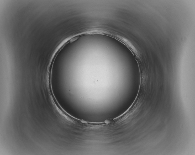 X0000112211484200908071444