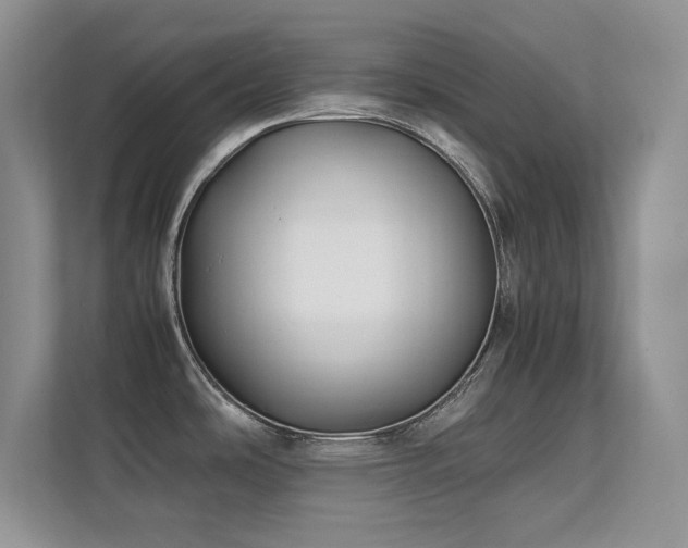 X0000112211486200908071444