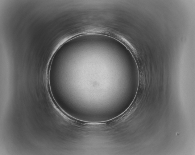 X0000112211487200908071444
