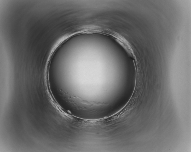 X0000112211488200908071444