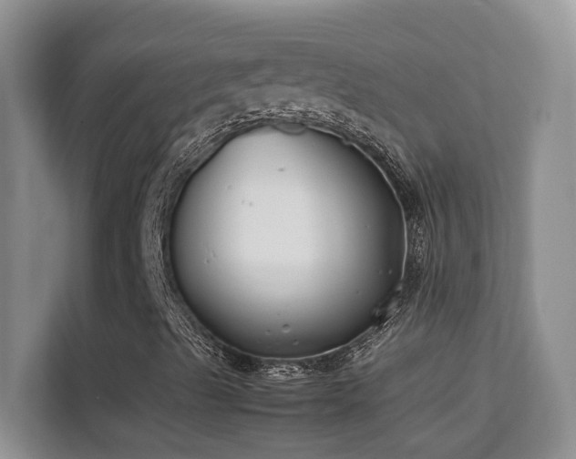 X0000112211489200908071443