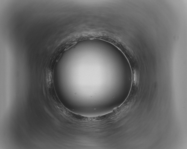X0000112211492200908071443