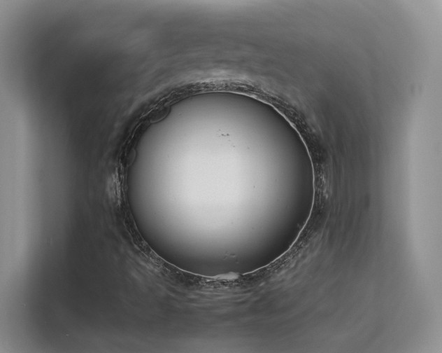 X0000112211493200908071443