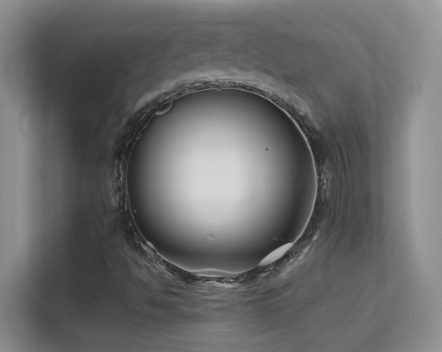 X0000112211494200908071443